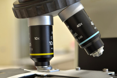 生物經(jīng)濟(jì) 定義、核心特征與生物技術(shù)開(kāi)發(fā)服務(wù)的驅(qū)動(dòng)作用